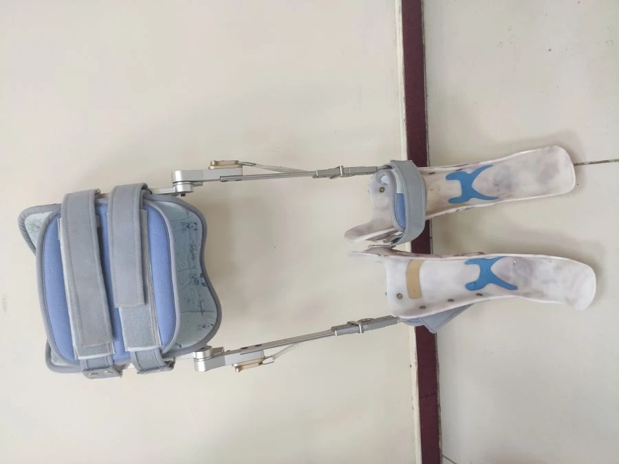 Lower limbs and torso device AN8-02