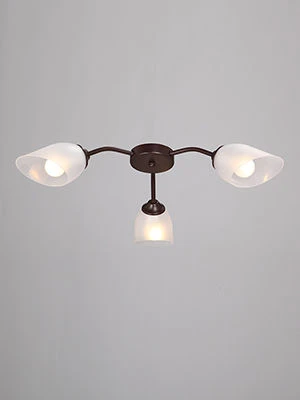 General purpose luminaire fixed V3750-7/3PL