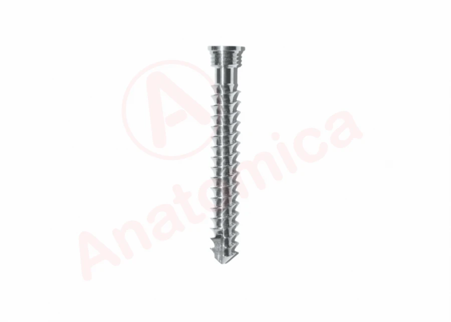 Sponge screw with cylindrical thread