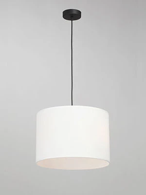 General purpose fixed luminaire V2956-1/2S