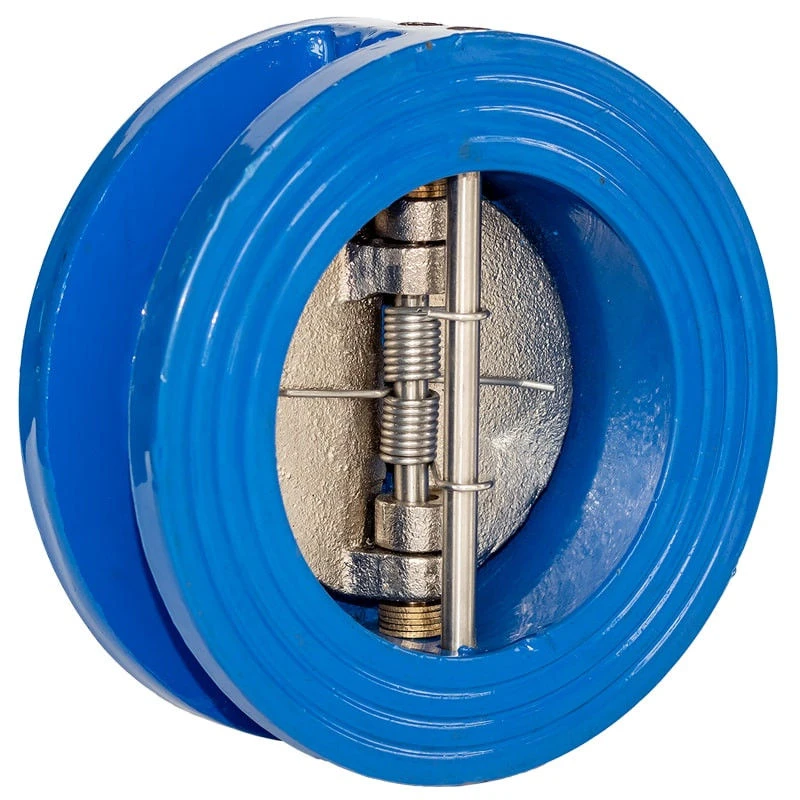 Check valve PT41014
