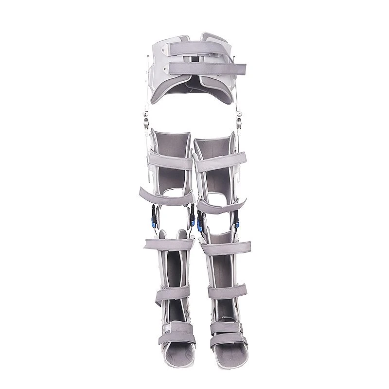 Lower limb and trunk orthopaedic apparatus