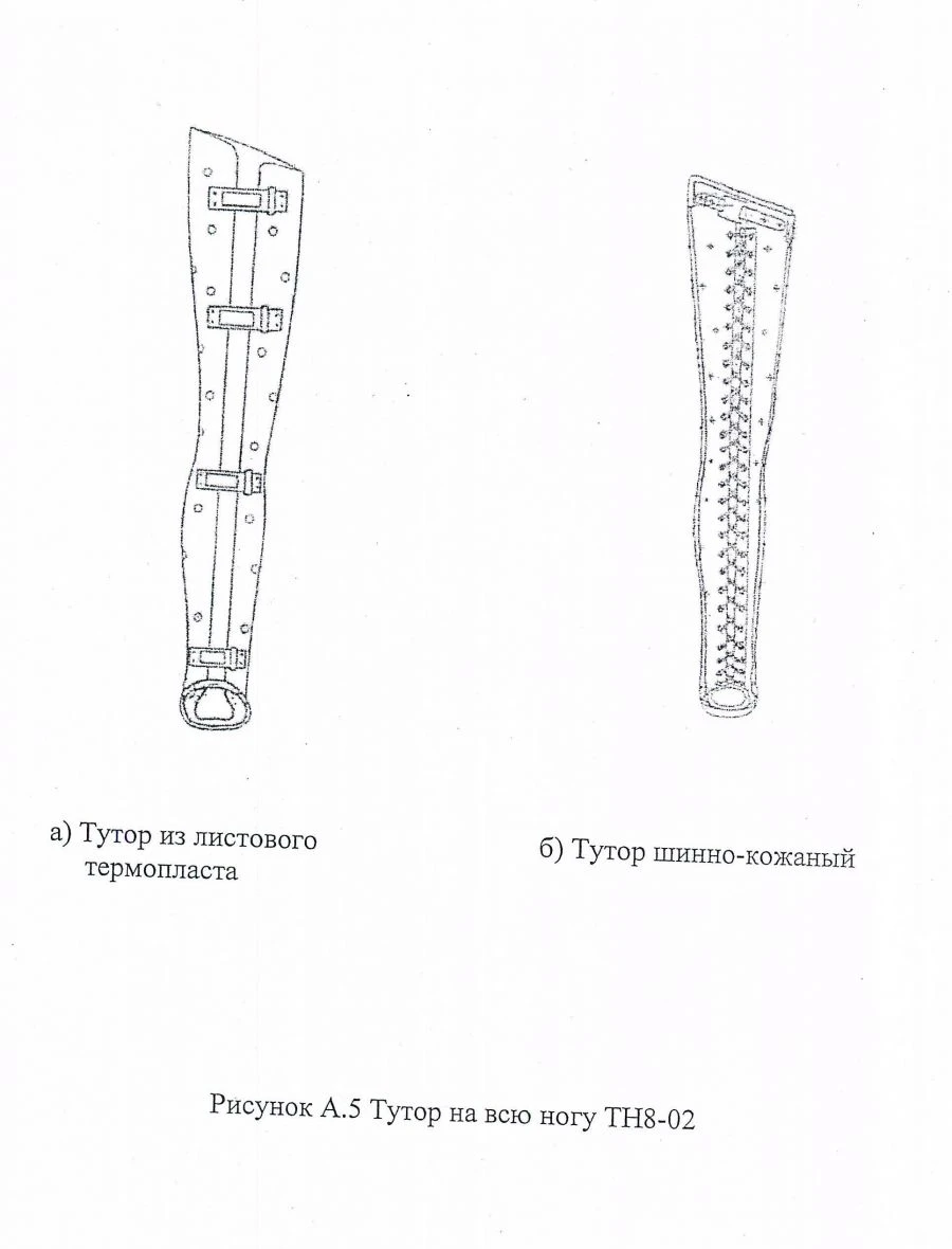 Full leg brace TH8-02