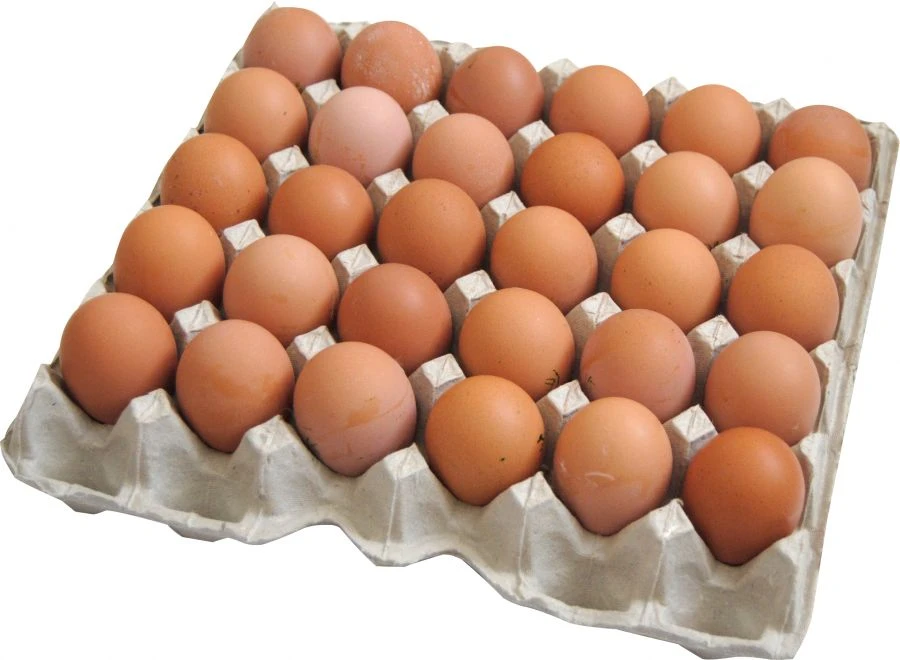 Grade A Table Chicken Eggs - 1 Category