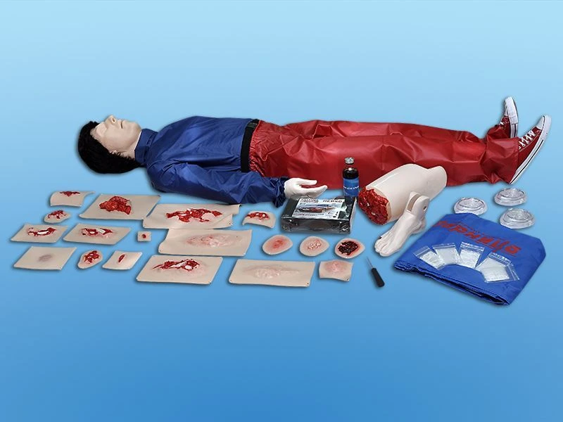 Trauma Care Mannequin, CPR, AED, BLS700