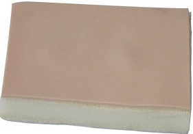 Model for lipoma resection CS6217