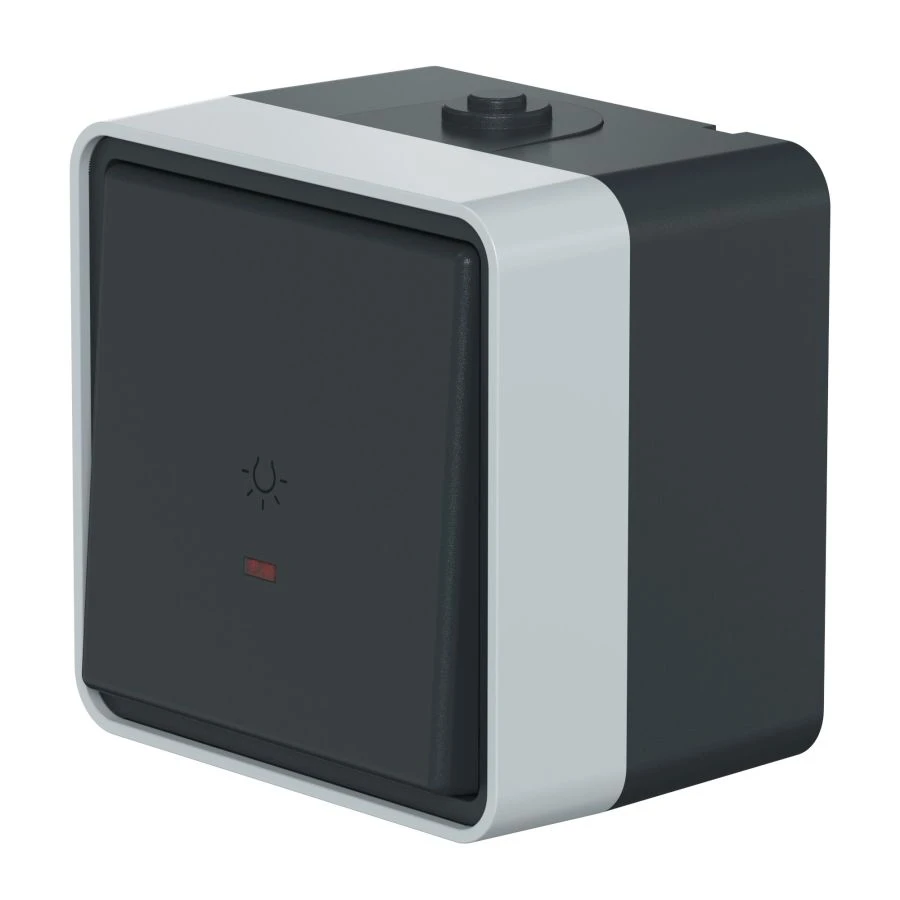 CADUCEUS ALING Protecta Single-lever switch for open wiring Light with indication 10AX, 250V~, IP55, anthracite grey, ref.