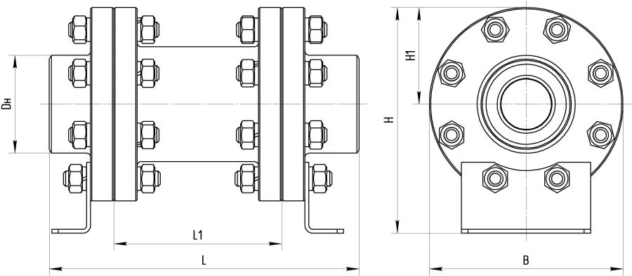 Check valve ATEK.494284.002