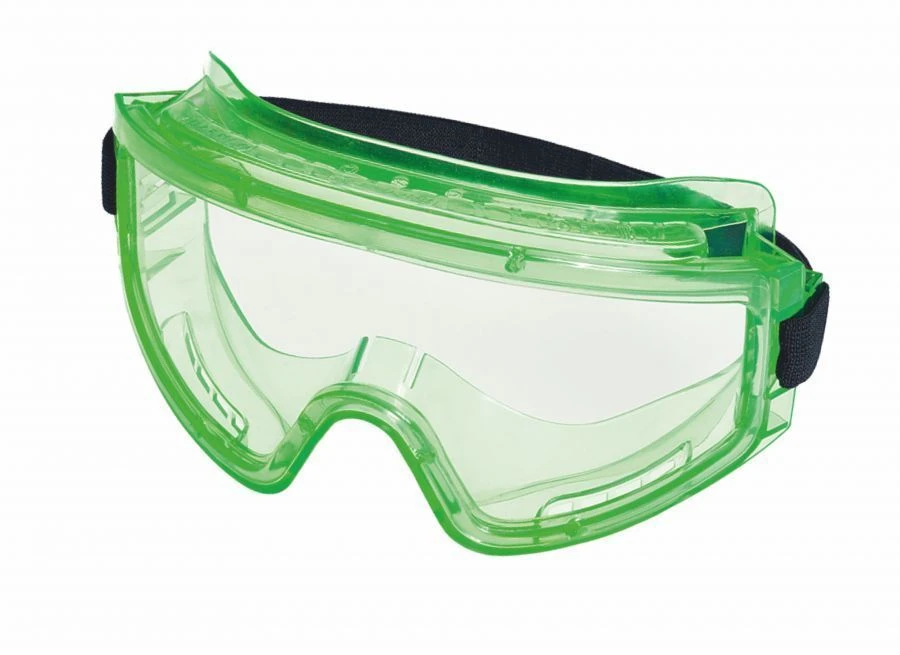 Closed safety goggles ZN11 PANORAMA Arctic, item 21111