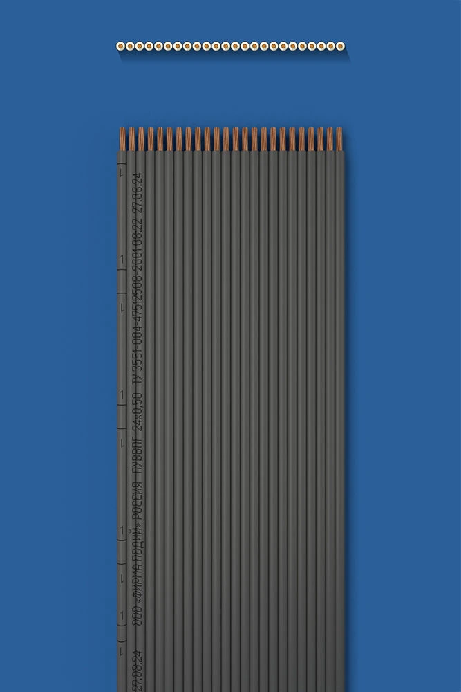 Installation flat wire with two-layer (double) insulation PUUVVVPG 24õ0,50