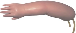 Newborn hand model for venipuncture PS150S / S15