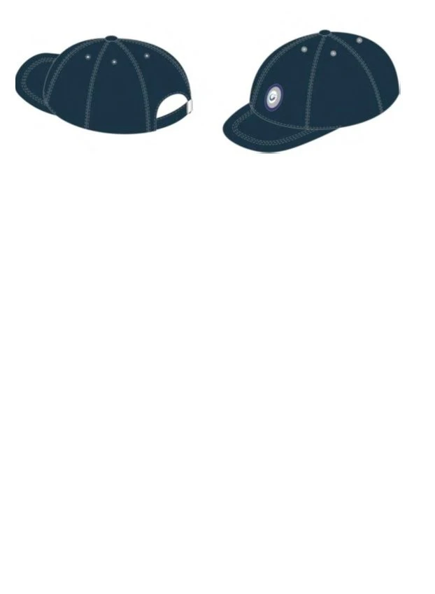 Headwear for employees of departmental security service of PJSC Transneft, baseball caps, commodity codes B