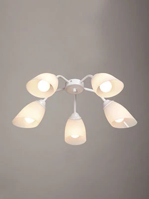 General purpose fixed luminaire V3195/5PL