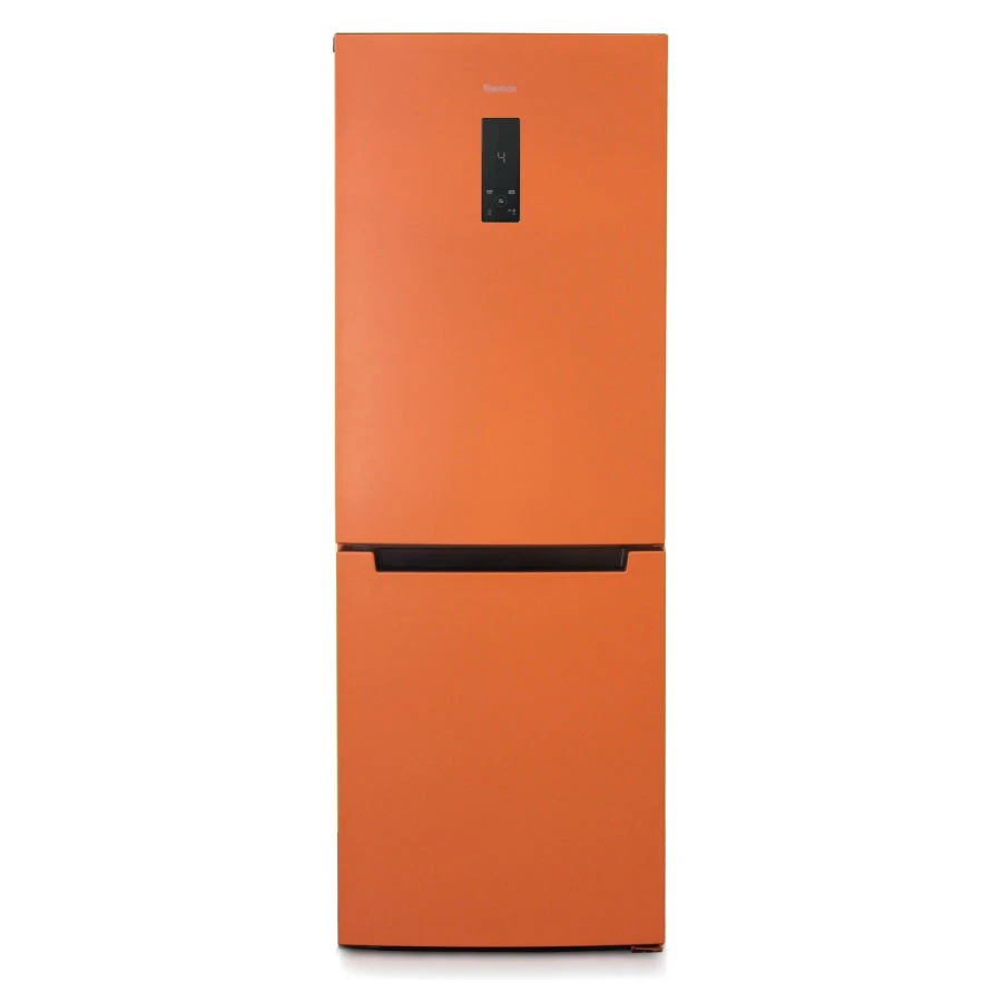 Refrigerator-freezer "Biryusa T920NF"