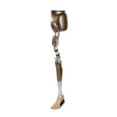 Modular Hip Separation Prosthesis PN8-13