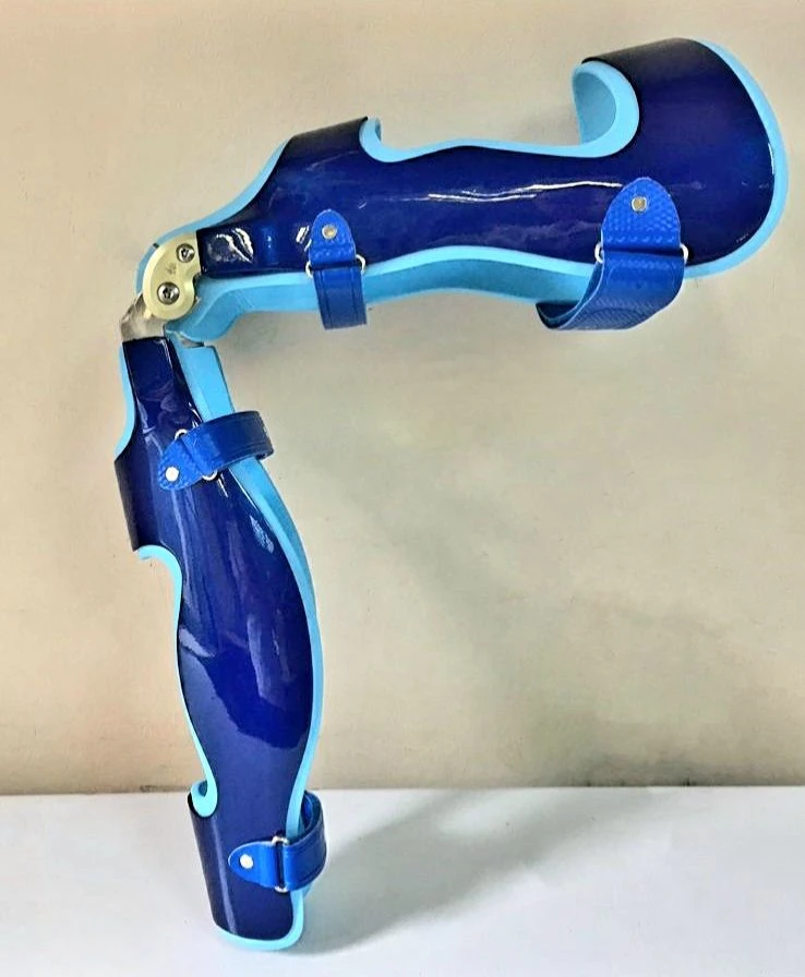 Knee joint apparatus