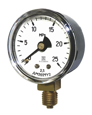 Indicating pressure gauges DM2029