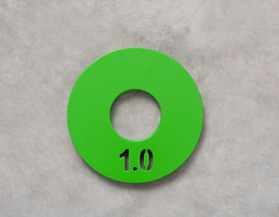 1,0 kg steel training disc