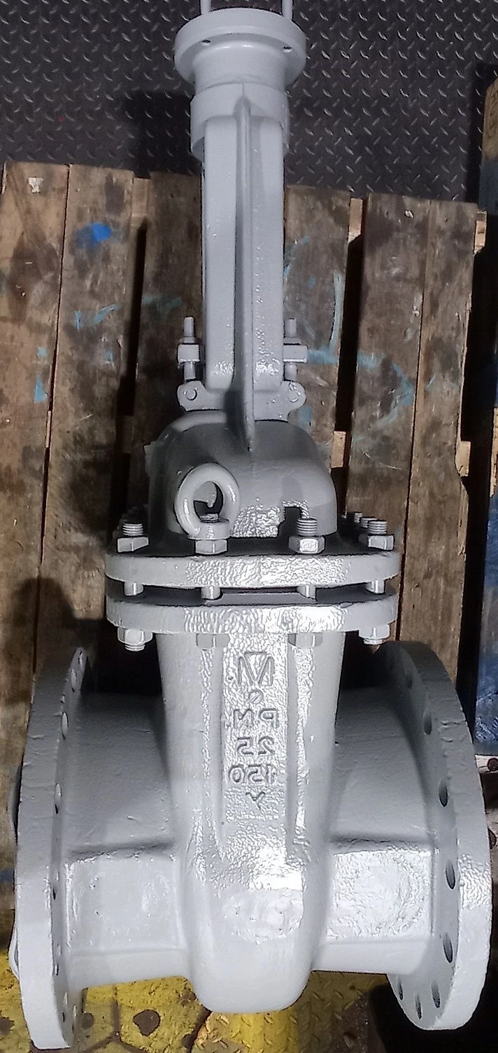 Steel wedge gate valve with sliding spindle and handwheel RN 2,5 MPa DN 50