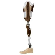 Modular hip prosthesis with microprocessor control PN6-79