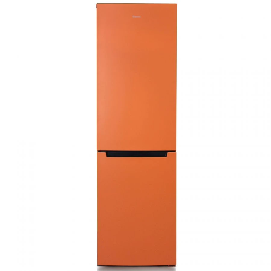 Refrigerator-freezer "Biryusa T880NF"
