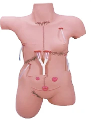 Mannequin with various postoperative sutures, stomas, LV18