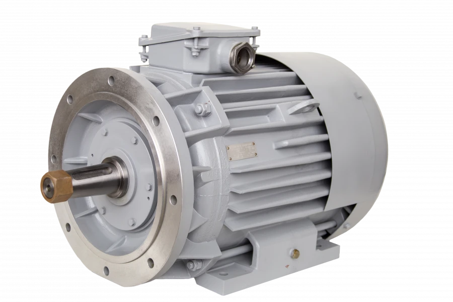 Three-phase asynchronous motors DM250, DMN250 (90-110 kW)