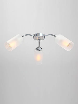 General purpose fixed luminaire V3758/3PL