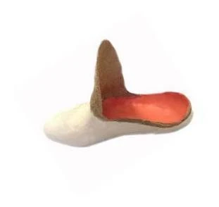 Orthopaedic footwear for foot residual limbs (inlay shoe), without insulated lining