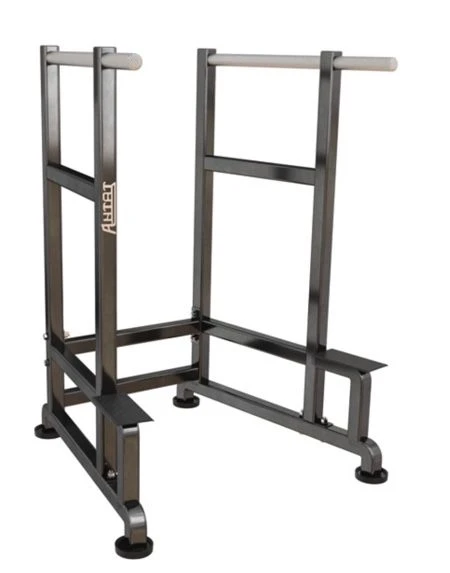Training apparatus planks