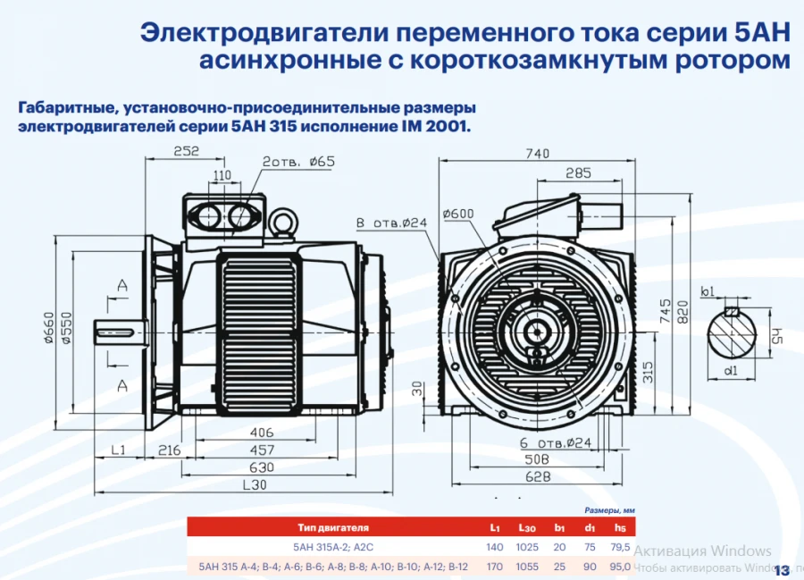5AN 315 series AC asynchronous squirrel cage electric motors with power more than 75 kW, but not more than 375 kW.