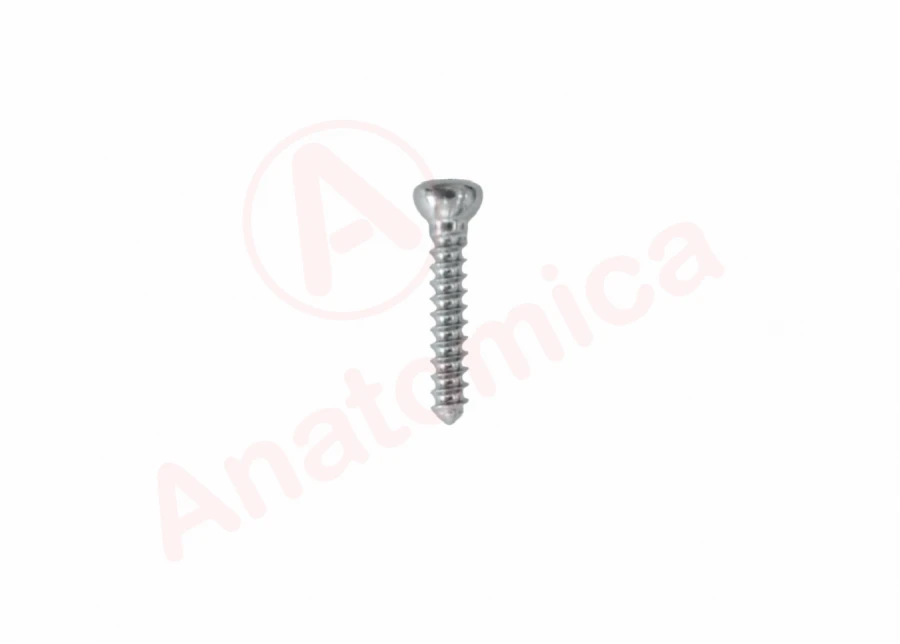 Cortical screw