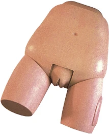 Model for uterine examination GP6634 / 31