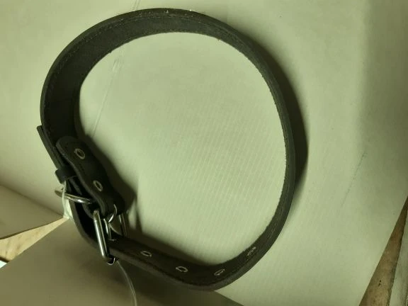 Double layer leather collar for medium breed dogs TU 8789-035-08830505-2010
