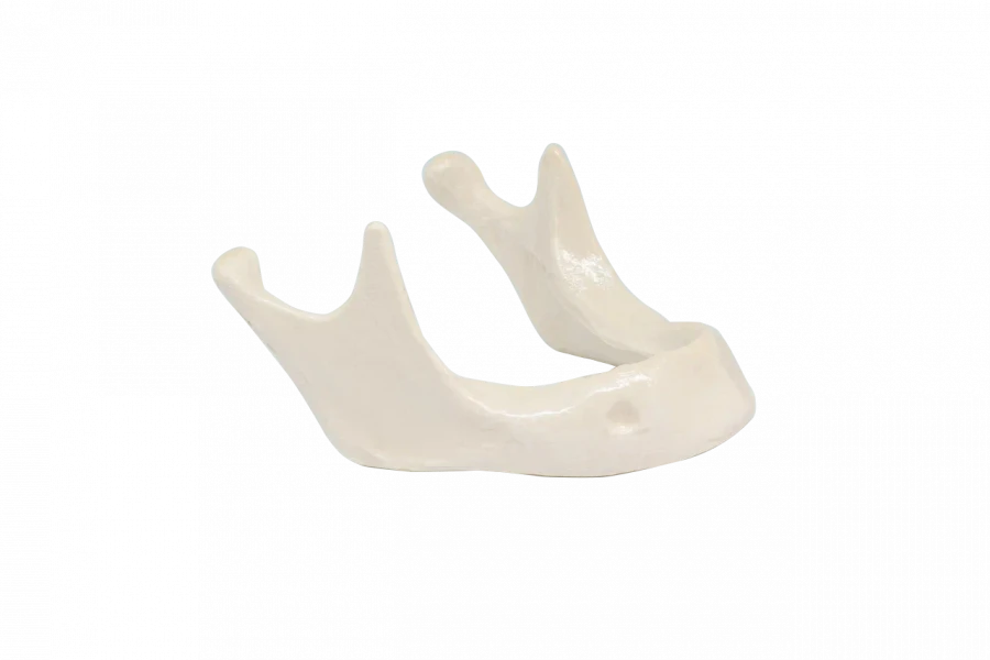 Dental model of edentulous mandible without gingiva and mounting plate for surgical training PD-HN BDP