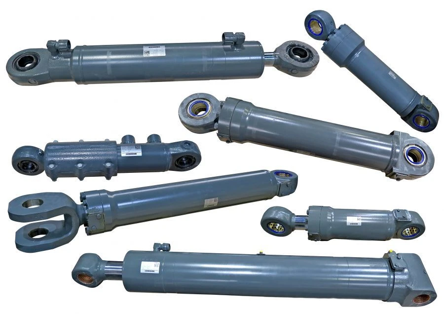 9284621 Hydraulic cylinder drawing number 29 851 1000 00 005