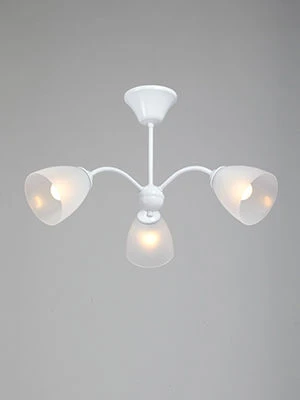 General purpose fixed luminaire V3929-0/3PL