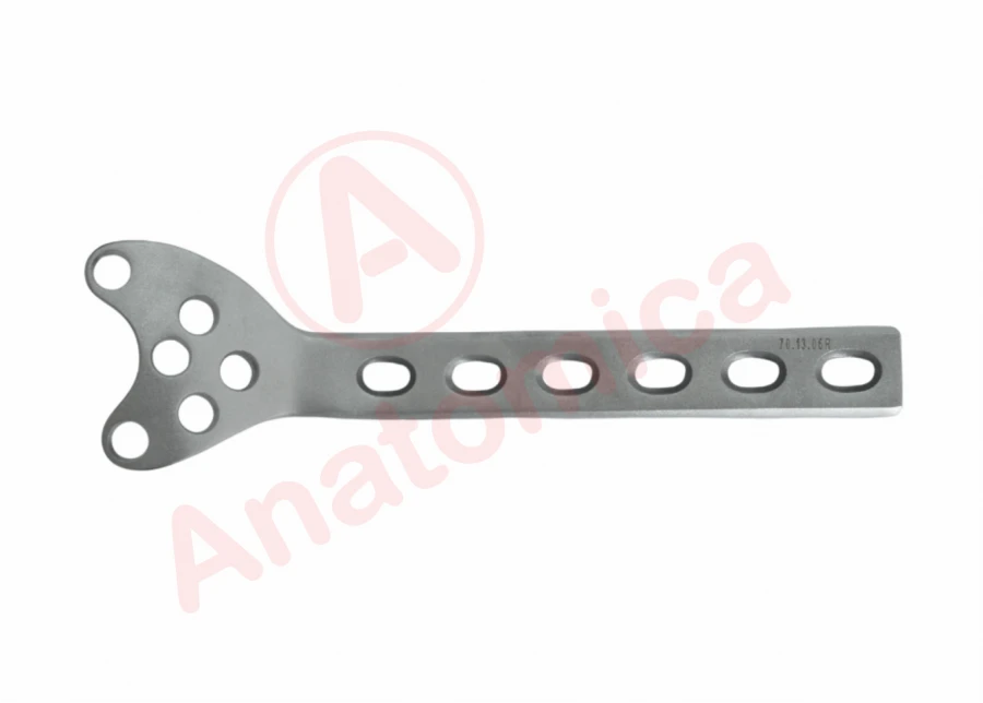 Femoral condyle support plate with limited contact