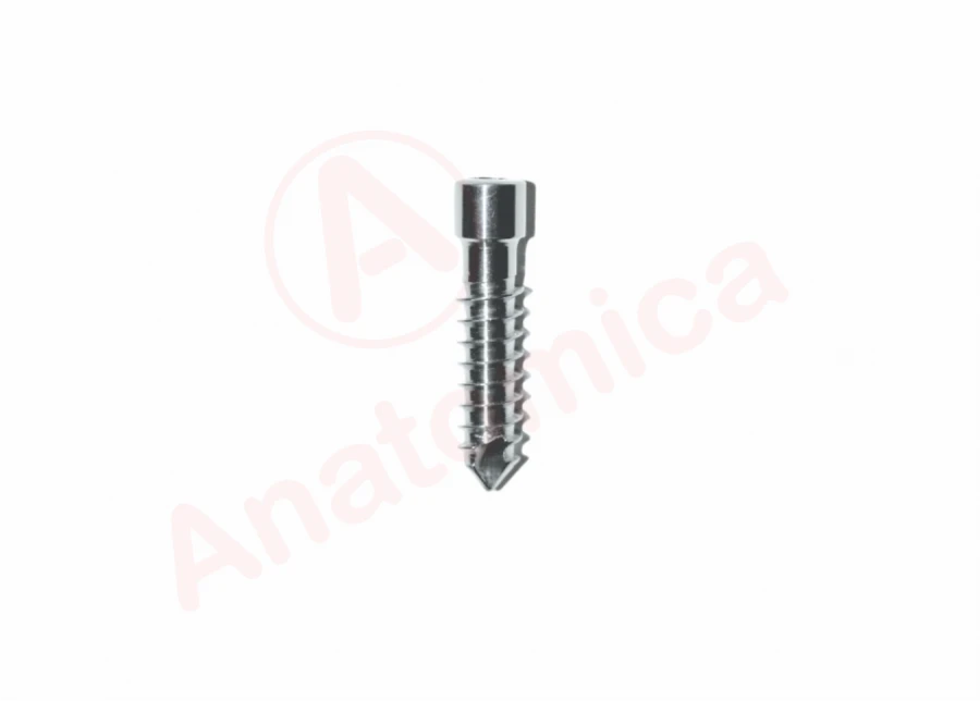 Reconstructive screw
