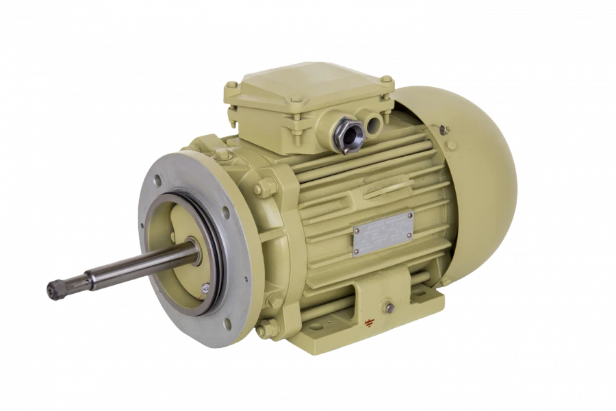 Three-phase asynchronous motors DMCH100SA8 (4 kW)
