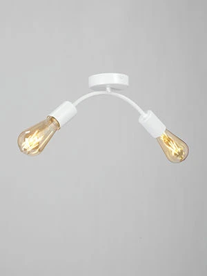 General purpose fixed luminaire V4989-0/2PL