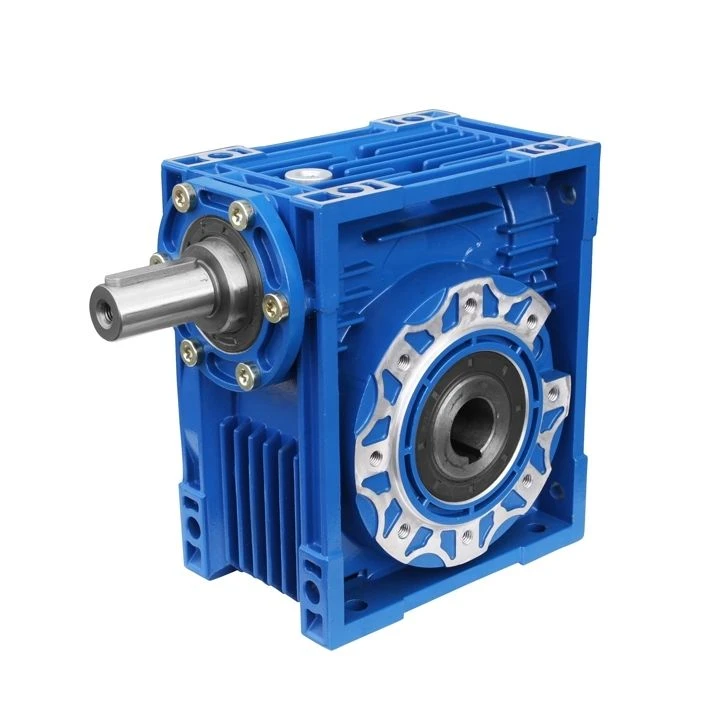 Worm gearbox and gearmotor