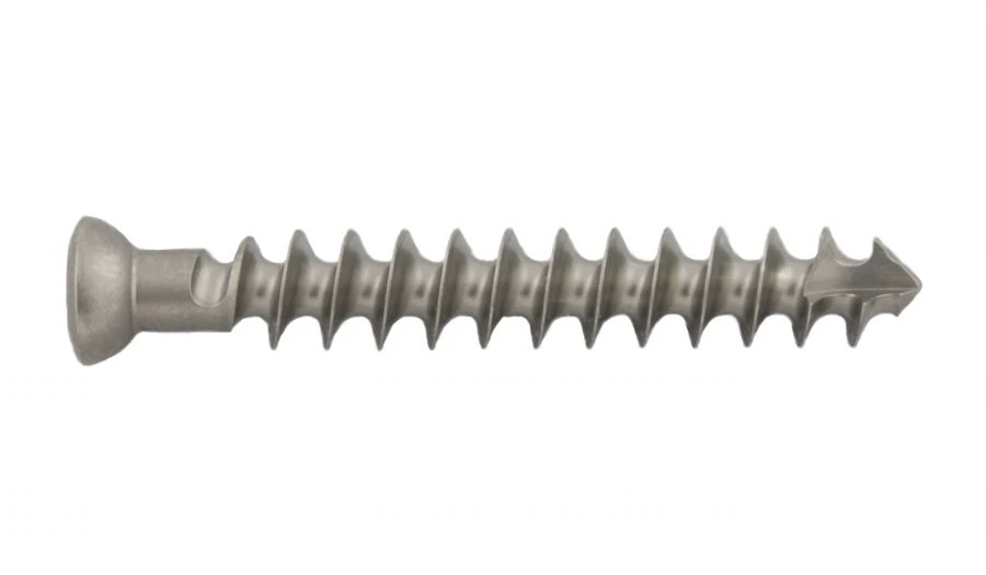 Spongy screw