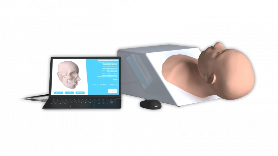 CranioPalp, model NG. CranioPalp