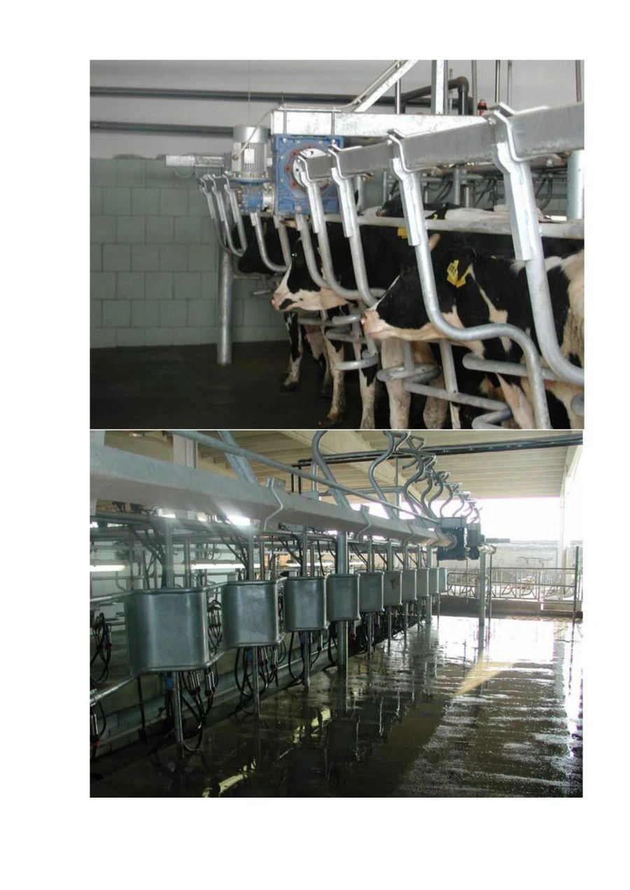 Machinery for animal husbandry: milking machines, series "AIS-SCR", types: "herringbone"