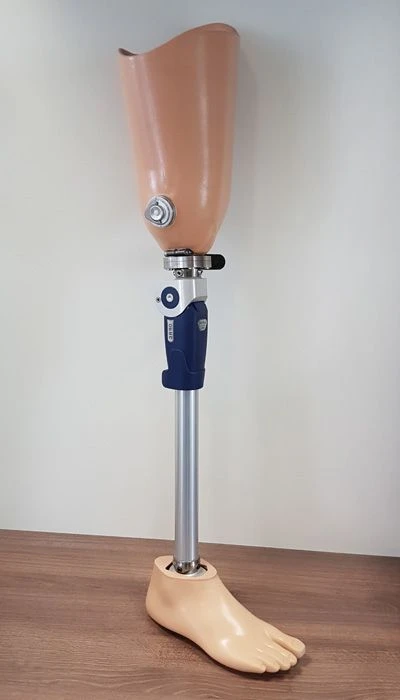 Modular hip prostheses