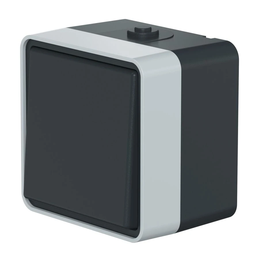 CADUCEUS ALING Protecta Single-key switch for open wiring 10AX, 250V~, IP55, anthracite grey, art. 22503.