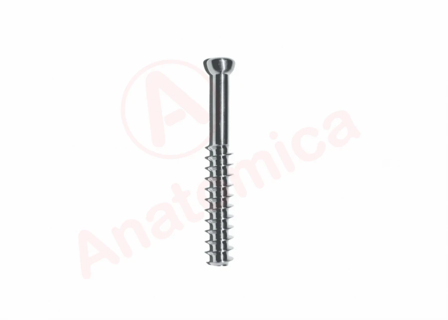 Screw cannulated thread 32mm