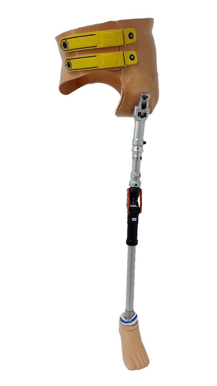 Modular hip dislocation prosthesis, PN8-19