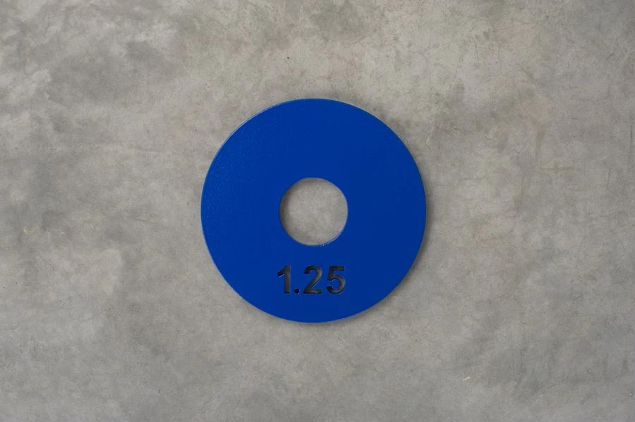 Steel training disc 1,25 kg